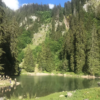 Scouts d'Europe pour les filles