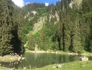 Scouts d'Europe pour les filles