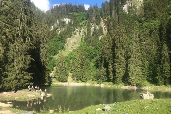 Scouts d'Europe pour les filles
